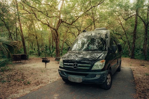 A Mercedes Sprinter parked near trees