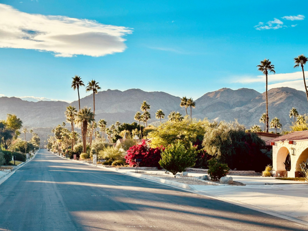 Palm trees along a road in Coachella Valley